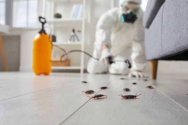 Trusted Rodent Control service in Coal City, WV - Nex Pest Control