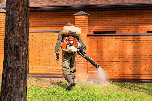 Trusted Cockroach Control service in Coal City, WV - Nex Pest Control
